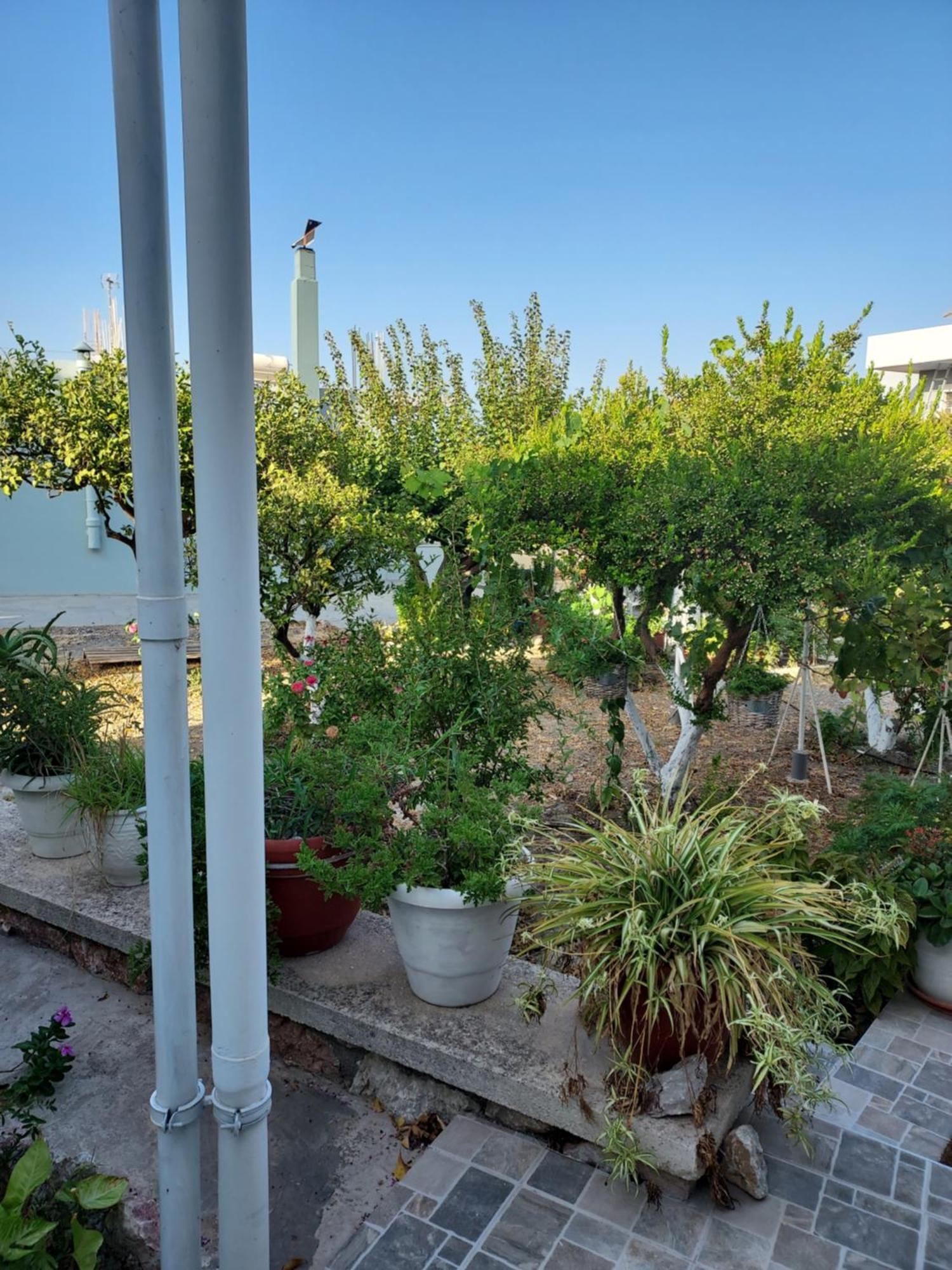 Anastasia'S Garden House Ялиссос Экстерьер фото